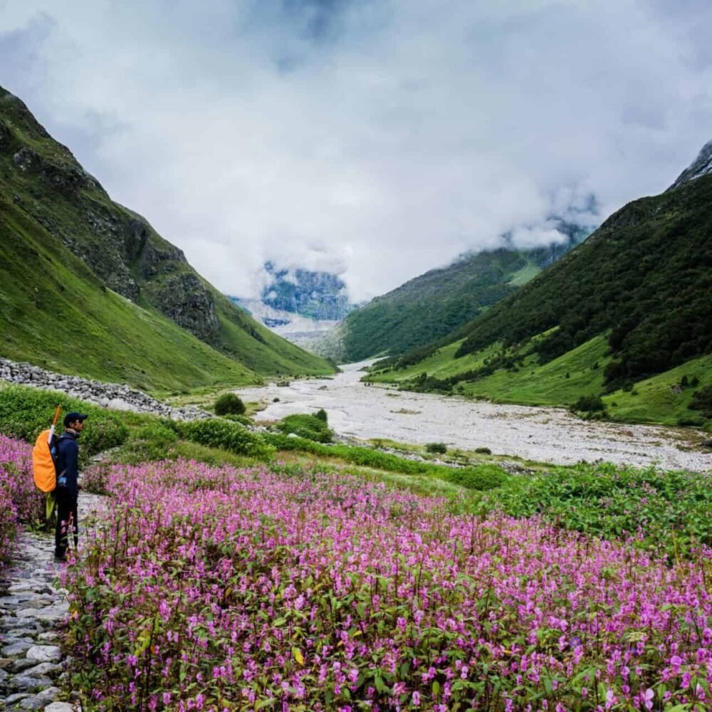 Valley of Flowers Trek
